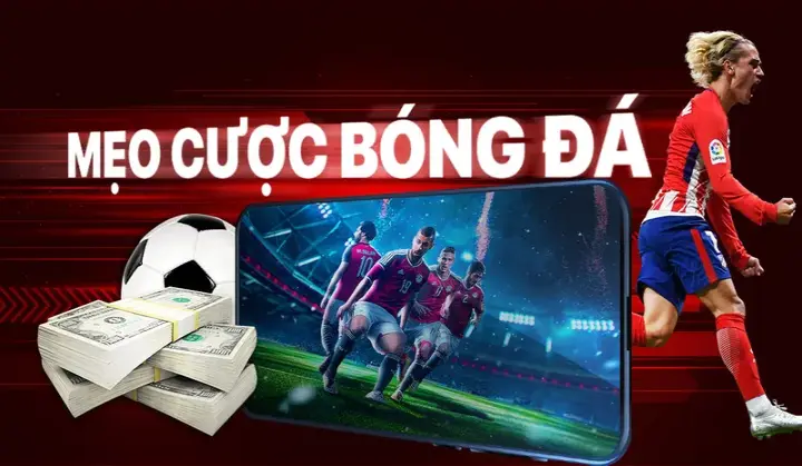 Vì sao nên chọn Bóng Đá Trực Tuyến Go88?